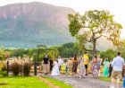 Vinícola em Aquidauana quer colocar a região do Pantanal no mapa do enoturismo
