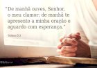 Salmo do dia