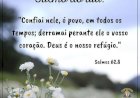 Salmo do dia