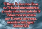 Salmo do dia