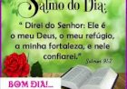 Salmo do dia