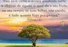 Salmodo dia