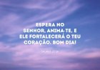 Salmo do dia