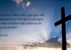 Salmo do dia