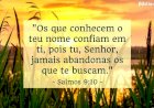 Salmo do dia