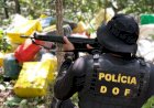 Mato Grosso do Sul intensifica combate ao tráfico e registra aumento de 33% nas apreensões de drogas
