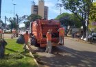 Serviços de coleta e Ecopontos serão suspensos no feriado da Consciência Negra