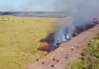 Sustentabilidade: Governo de MS moderniza controle de queimadas e fortalece prevenção a incêndios florestais