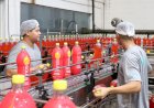Mercado de trabalho formal em Mato Grosso do Sul fecha 2024 com saldo positivo de 12,4 mil vagas