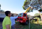 Prefeitura leva serviço de podas preventivas de árvores para a região da Vila Hilda