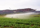 Pantanal Tech MS se consolida como vitrine do agro sustentável, fomento tecnológico e economia criativa