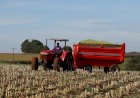 Prefeitura seleciona agricultores familiares para distribuição gratuita de fertilizante orgânico