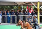 Desfile: Com público de 10 mil pessoas, tradição e admiração celebram a Independência do Brasil
