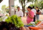 Roda de conversa no Mercado Escola marca Semana da Agroecologia com participação do vereador Landmark