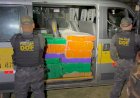 DOF apreende quase meia tonelada de maconha em van escolar que seguia para São Paulo 09 dez 2025