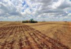 Previsão indica chuvas irregulares e calor acima da média em MS até maio