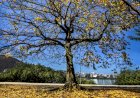 Outono começa com previsão de chuvas abaixo da média e altas temperaturas em MS