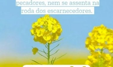 Salmo do dia