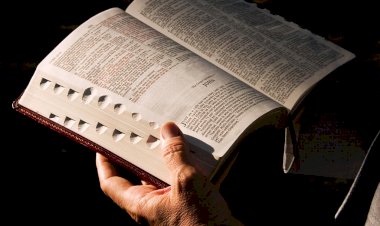 Salmo 50: Piedade
