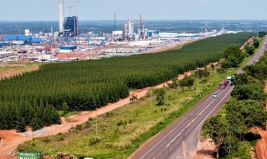 Ranking de liberdade econômica coloca MS entre os três estados com melhor ambiente para negócios