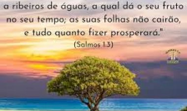 Salmodo dia
