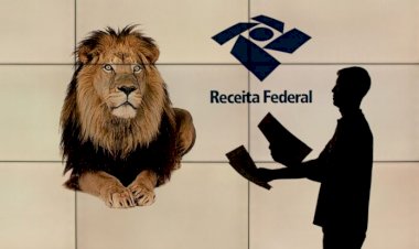 Criminosos roubam dados de contribuintes com aplicativo falso; saiba como se proteger