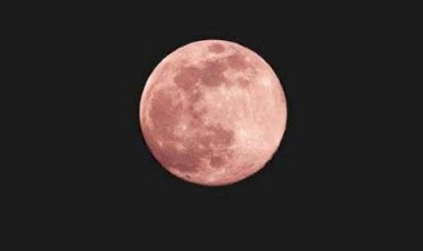 ‘Lua Cheia Rosa’ poderá ser vista nesta terça-feira no Brasil