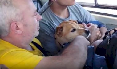 Crianças, idosos e até cão caramelo são resgatados em helicóptero de MS
