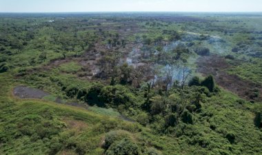 Incêndios florestais no Pantanal e em Naviraí mobilizam bombeiros de MS