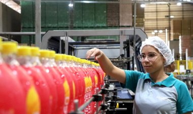 Oportunidades em ascensão: novas indústrias e vagas em MS