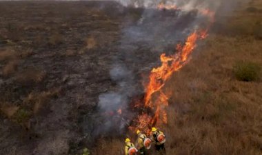 Governo Lula quer pena de até 18 anos de prisão para quem provocar incêndio florestal