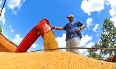 Produtores rurais devem declarar área plantada de soja até o dia 10 de janeiro no site da Iagro