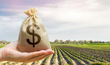 Tesouro Nacional suspende novas contratações de crédito do Plano Safra 2024/25