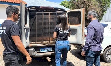 Idosa é assassinado em Juti e suspeito é preso enquanto tentava fugir pela BR-163