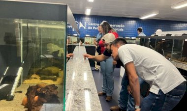 Bioparque promove turismo científico e experiência profissional para acadêmicos durante visitas técnicas