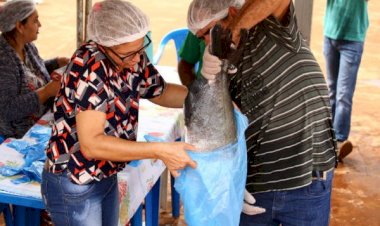 Prefeitura divulga lista de comerciantes de pescados da 1ª Festa da Páscoa