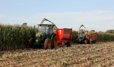 Prefeitura apoia colheita de silagem e fortalece produção de leite em distritos