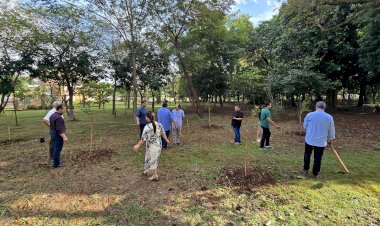 Feira Central recebe 84 novas árvores em ação de revitalização