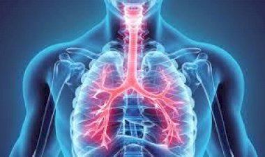 Saúde Entenda o que são e quais as principais doenças respiratórias
