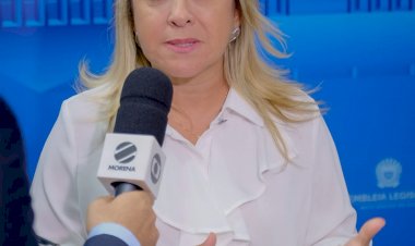 Reativação de viveiro de mudas em Itaporã é solicitada por Lia Nogueira