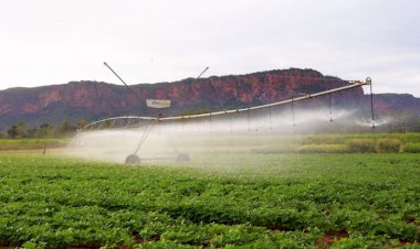 Pantanal Tech MS se consolida como vitrine do agro sustentável, fomento tecnológico e economia criativa