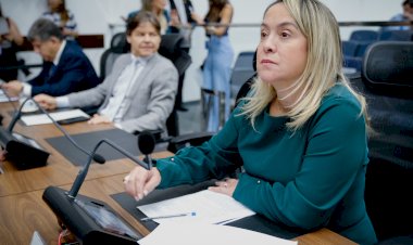 Guaçulândia recebe iluminação na MS-475 após pedido de Lia Nogueira
