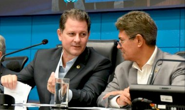 Renato Câmara e Professor Rinaldo representam o Legislativo no Conselho do Meio Ambiente