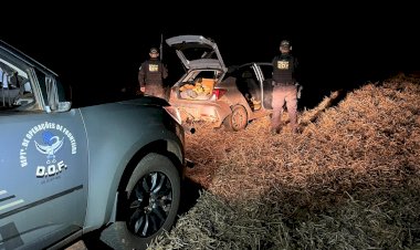 DOF apreende quase 200 quilos de maconha em Itaquiraí