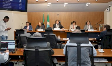 CCJR aprova projetos de lei que garantem proteção à infância e segurança de PCDs