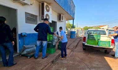 Prefeitura já distribuiu mais de 10 toneladas de alimentos por meio do PAA