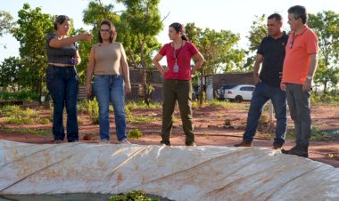 Sem luz e com perdas na produção, famílias da Agrovila Campão Orgânico pedem regularização e dignidade