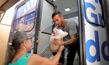 Prefeitura orienta que tutores levem animais em jejum para castração; veja todos os cuidados