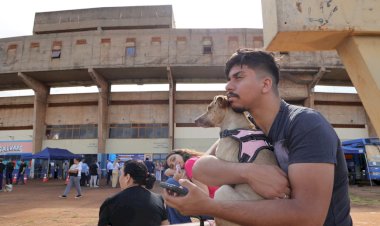 Caravana da Castração atendeu mais de 90 animais no 1º dia e prefeitura reforça cuidados