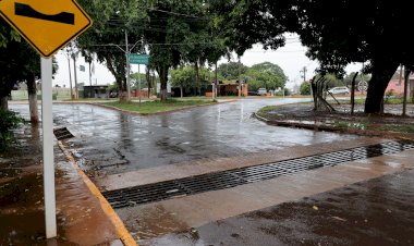 Ações preventivas da prefeitura reduzem quedas de árvores e alagamentos durante temporal